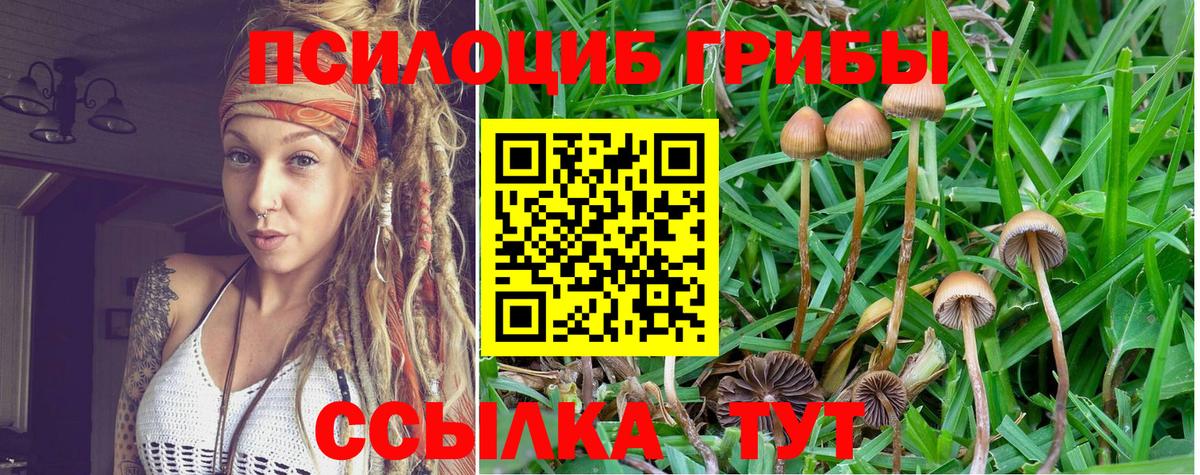Галлюциногенные грибы GOLDEN TEACHER  Вход с VPN  Новороссийск 