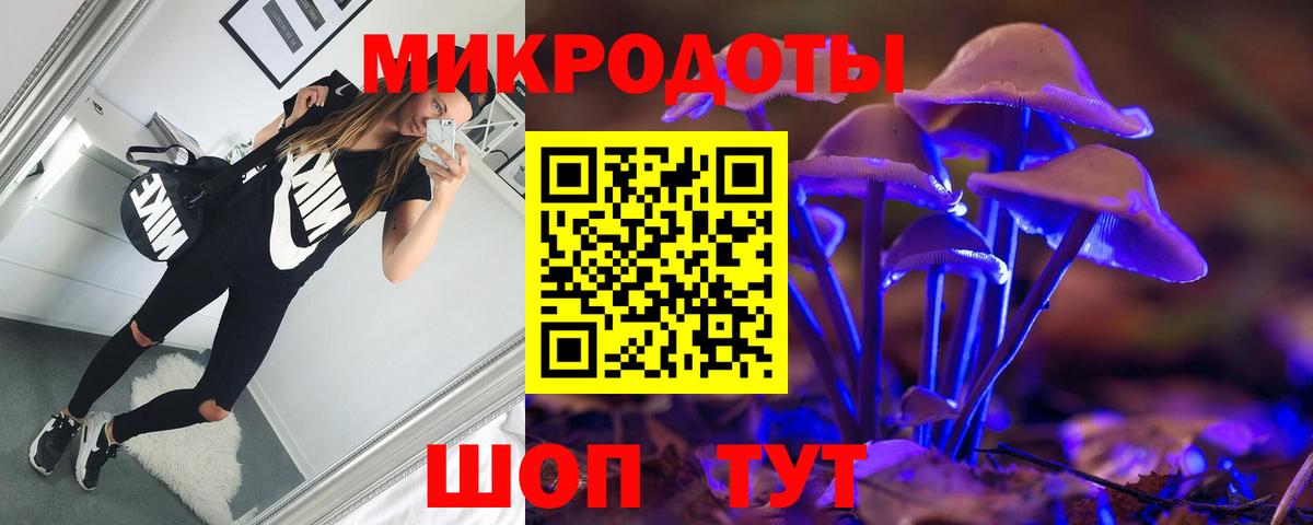 Галлюциногенные грибы мухоморы Новороссийск